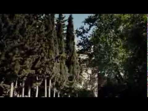 The Tree and the Swing fragman