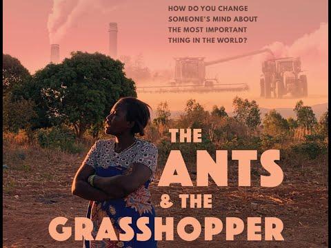 The Ants and the Grasshopper fragman