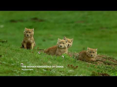 The Hidden Kingdoms of China fragman