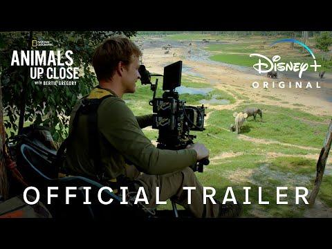 Animals Up Close with Bertie Gregory fragman