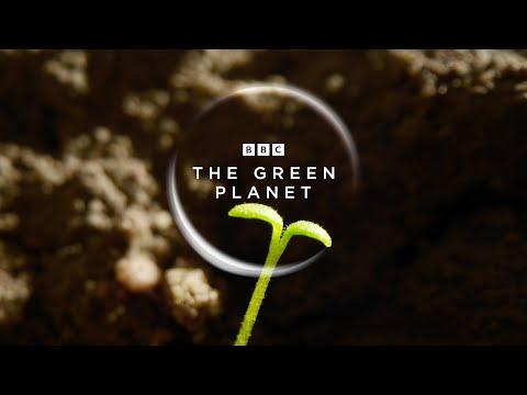 The Green Planet fragman