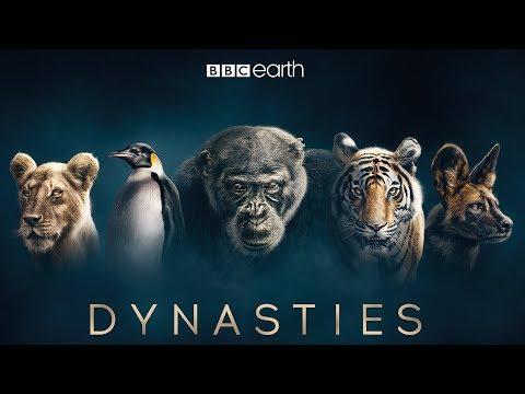 Dynasties fragman