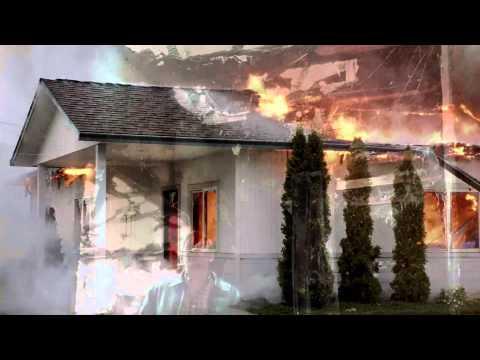 If a Tree Falls: A Story of the Earth Liberation Front fragman