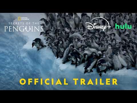 Secrets of the Penguins fragman