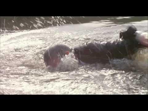 My Nights Are More Beautiful Than Your Days fragman