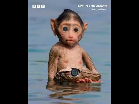Spy in the Ocean, A Nature Miniseries fragman