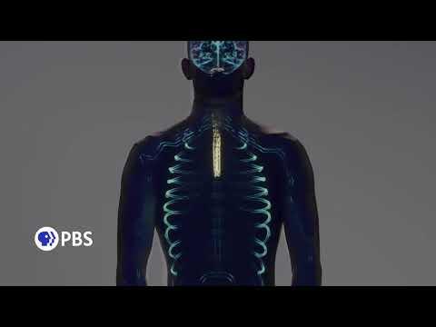 Human: The World Within fragman