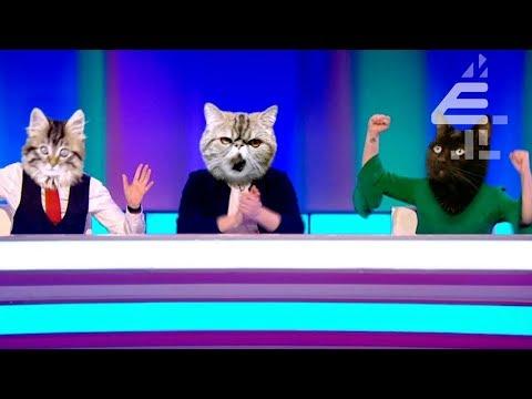 8 Out of 10 Cats fragman