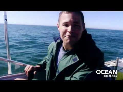Ocean Mysteries with Jeff Corwin fragman