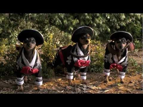 Beverly Hills Chihuahua 3: Viva la Fiesta! fragman