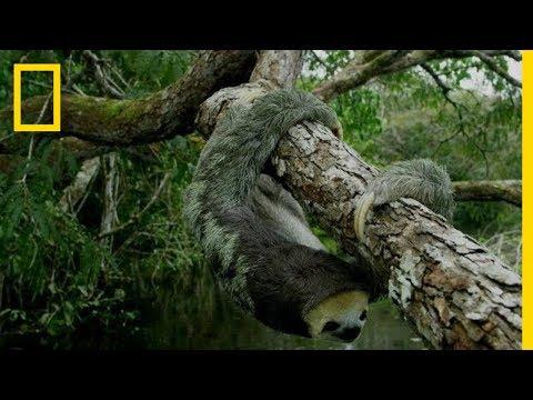 Hostile Planet fragman