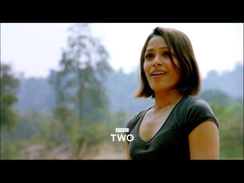 India: Nature's Wonderland fragman