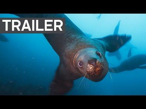 Blue Planet II fragman