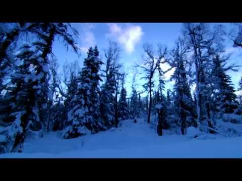 Ice Cold Killers fragman