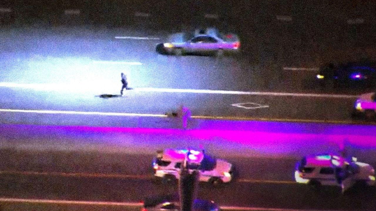 Live PD Presents: PD Cam backdrop