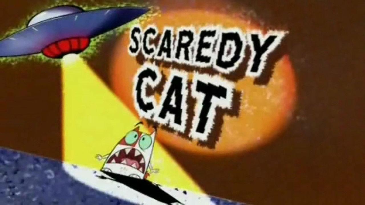 Scaredy Cat