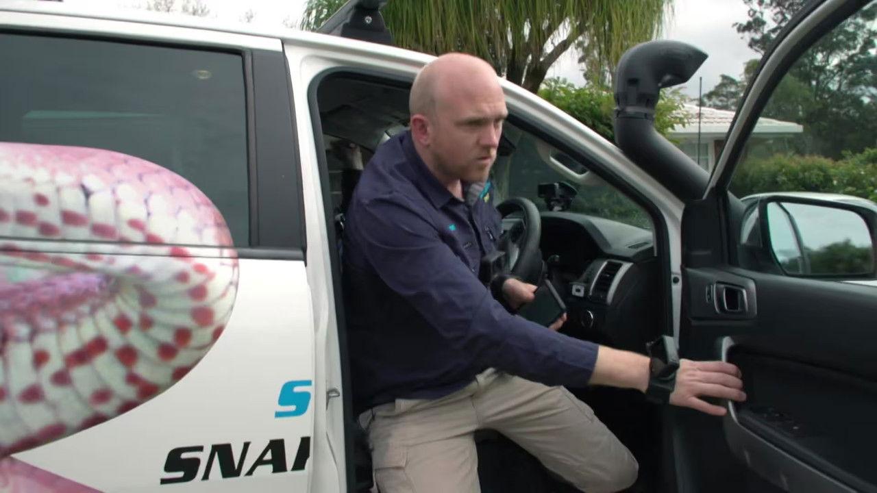 A Girl's Best Friend