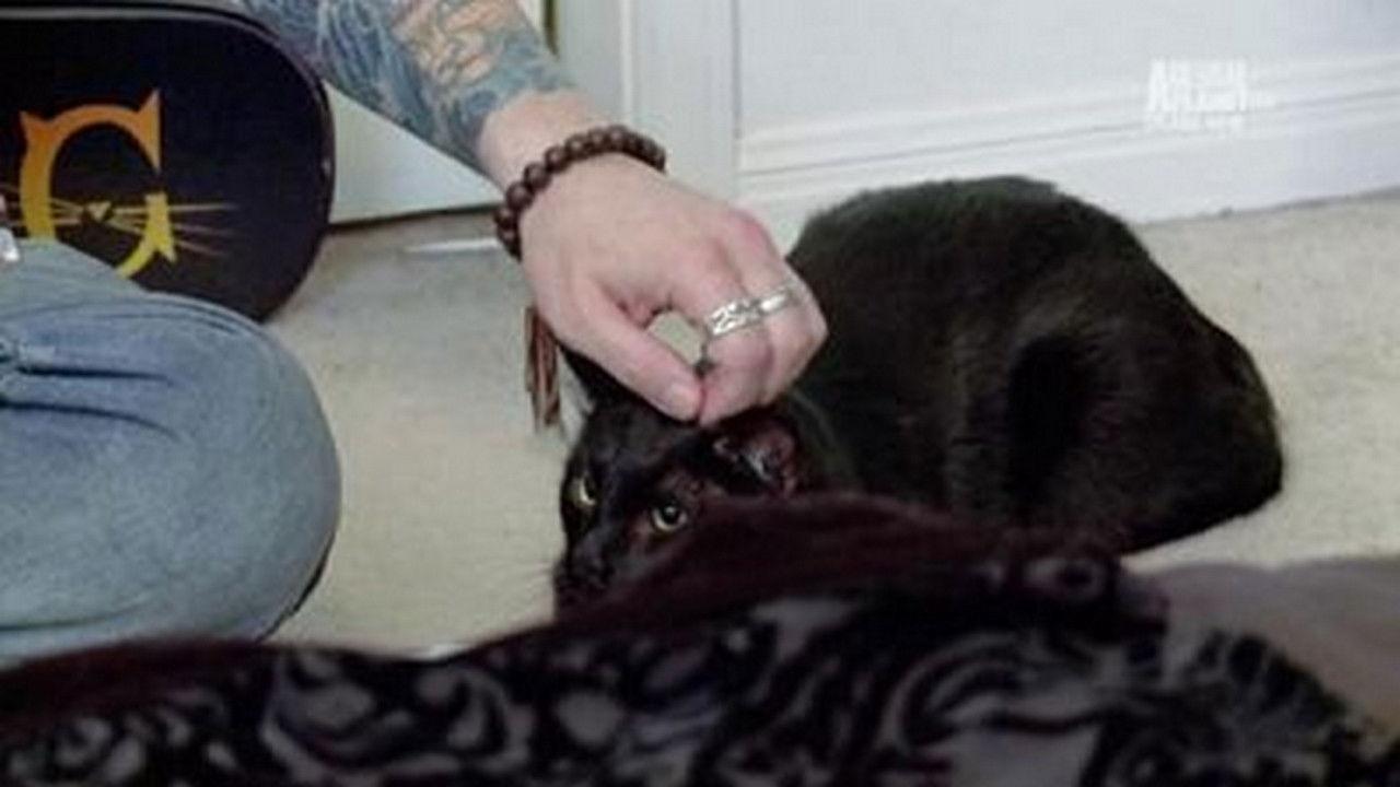 Multi-Million-Dollar Nightmare