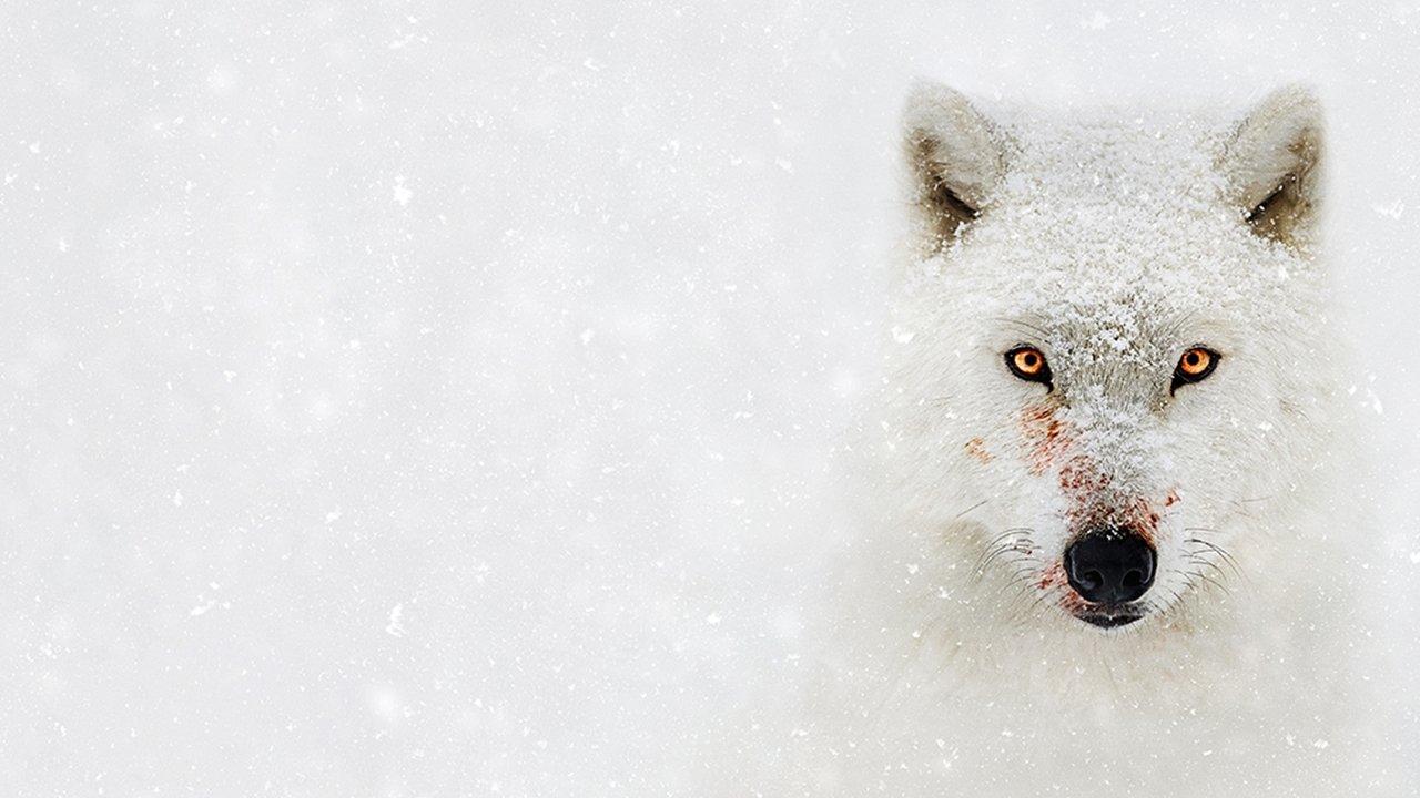 Hostile Planet backdrop