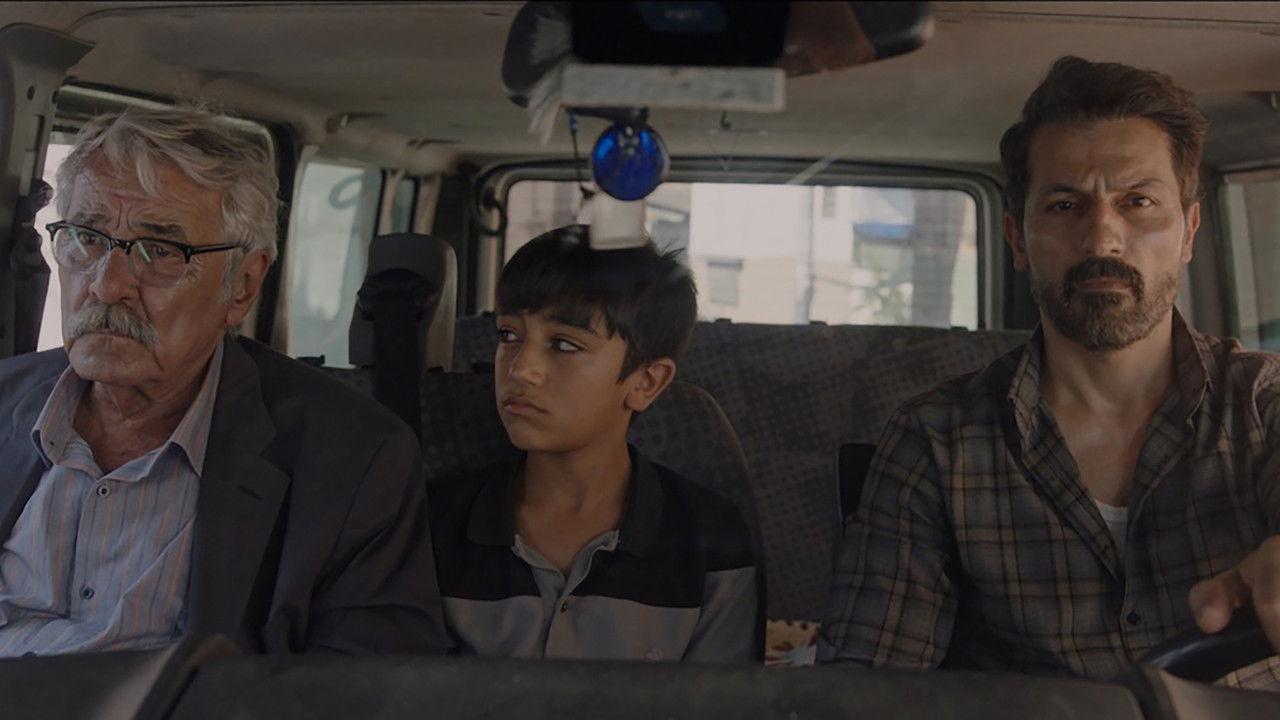 Like a Limbless Tree backdrop