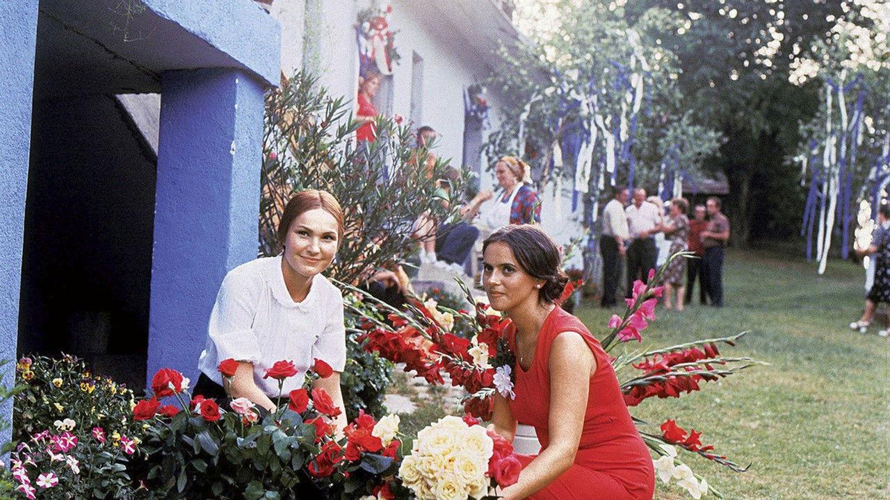 She Kept Asking for the Moon backdrop