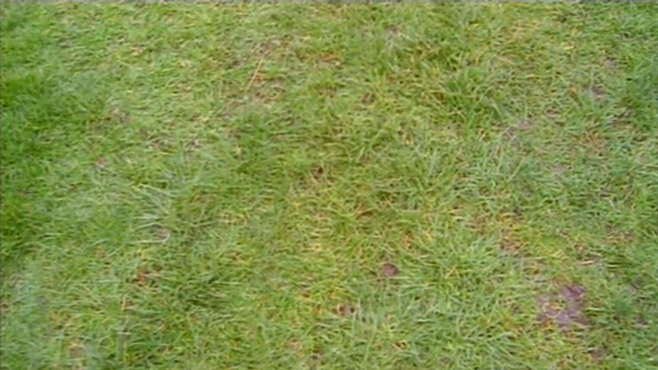 Do You Remember the First Time? backdrop