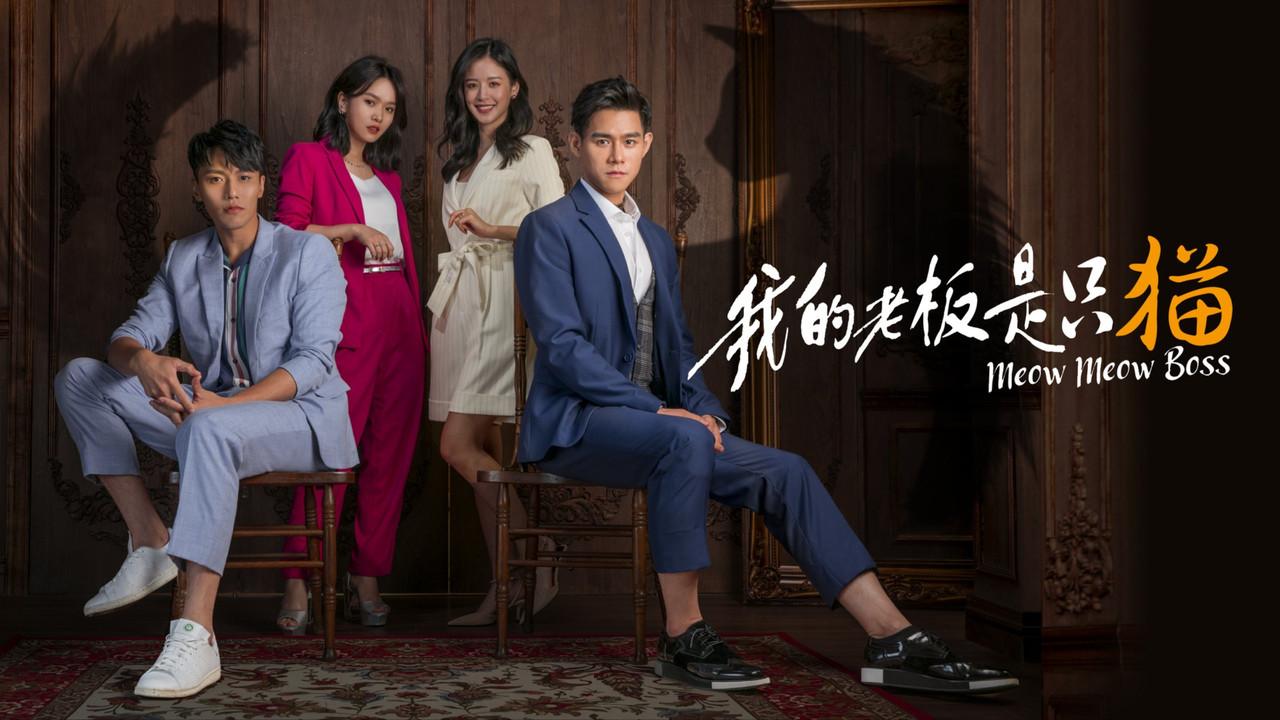 Meow Meow Boss backdrop