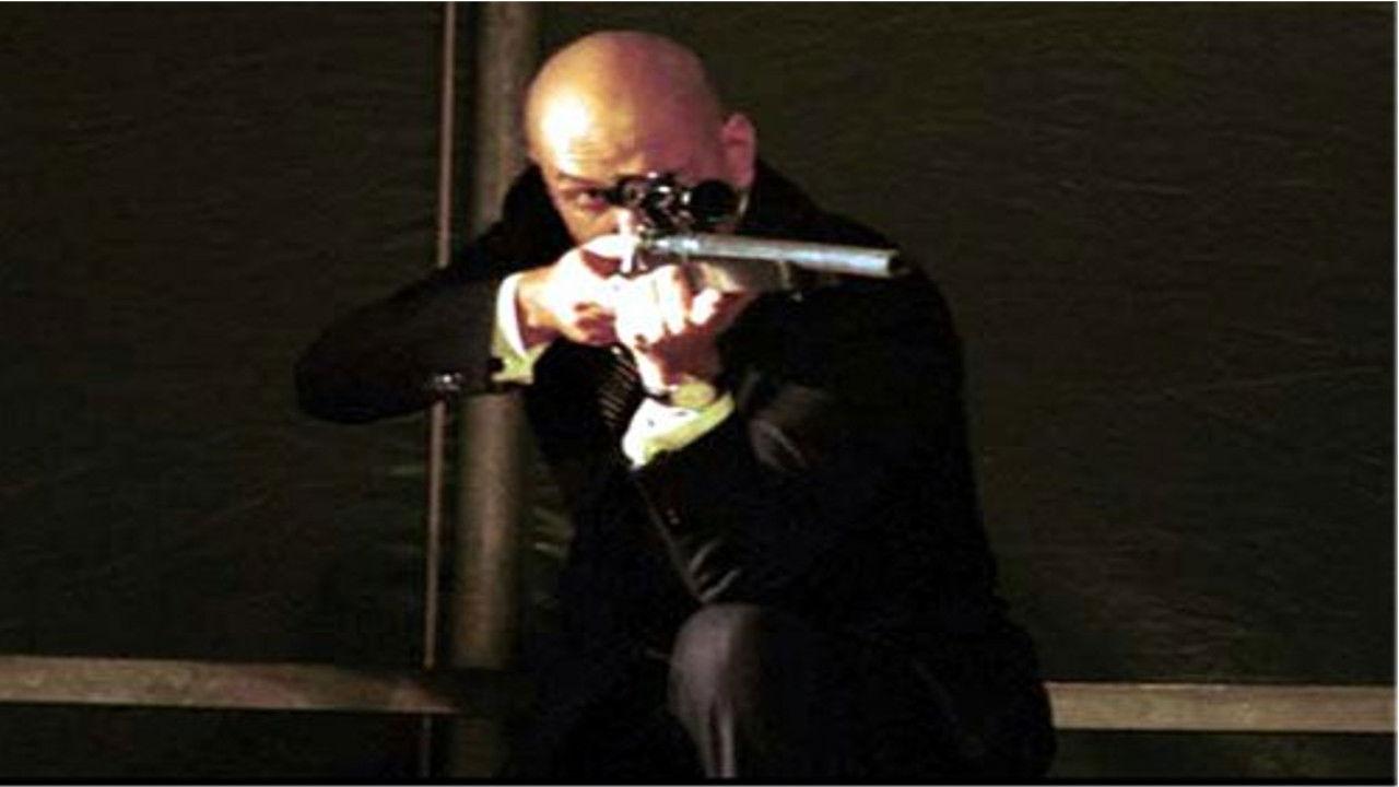 Plauto, Distorted Memory of an Eventual Fool backdrop