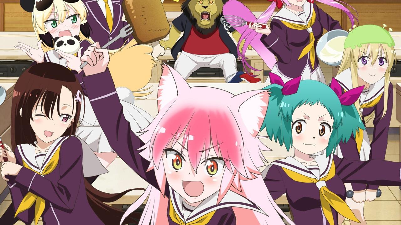 Seton Academy: Join the Pack! backdrop