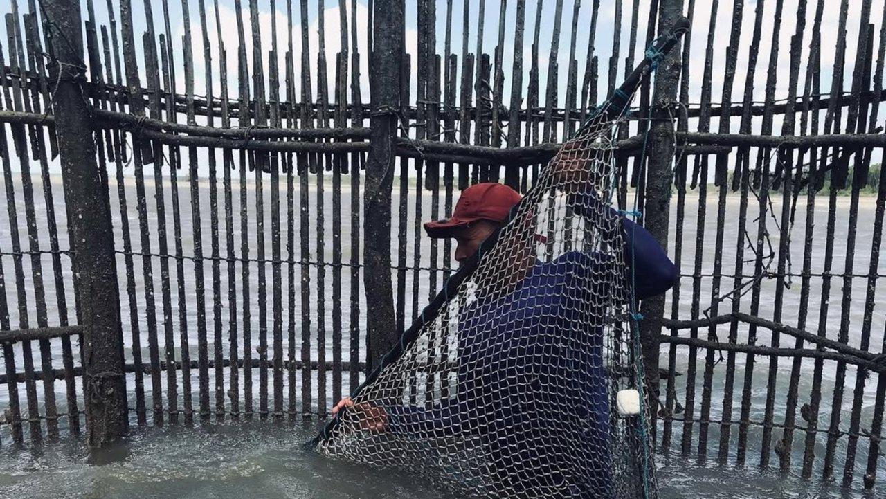 Peixe com Farinha backdrop