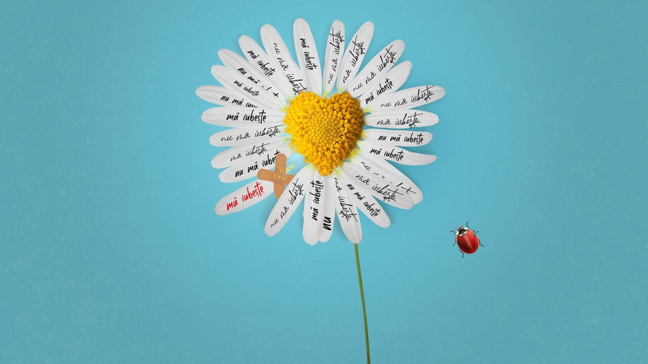 Lasă-mă, îmi place ! Camera 609 backdrop