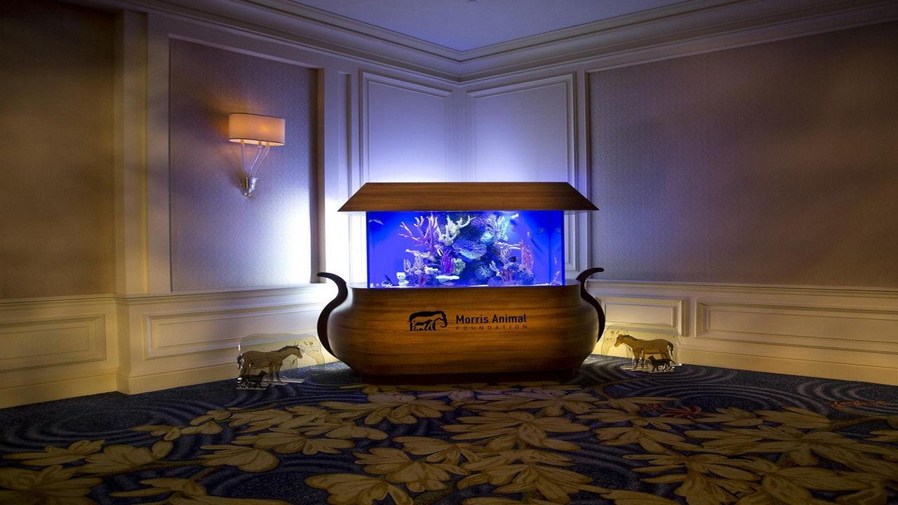 Betty White's Got an App for That