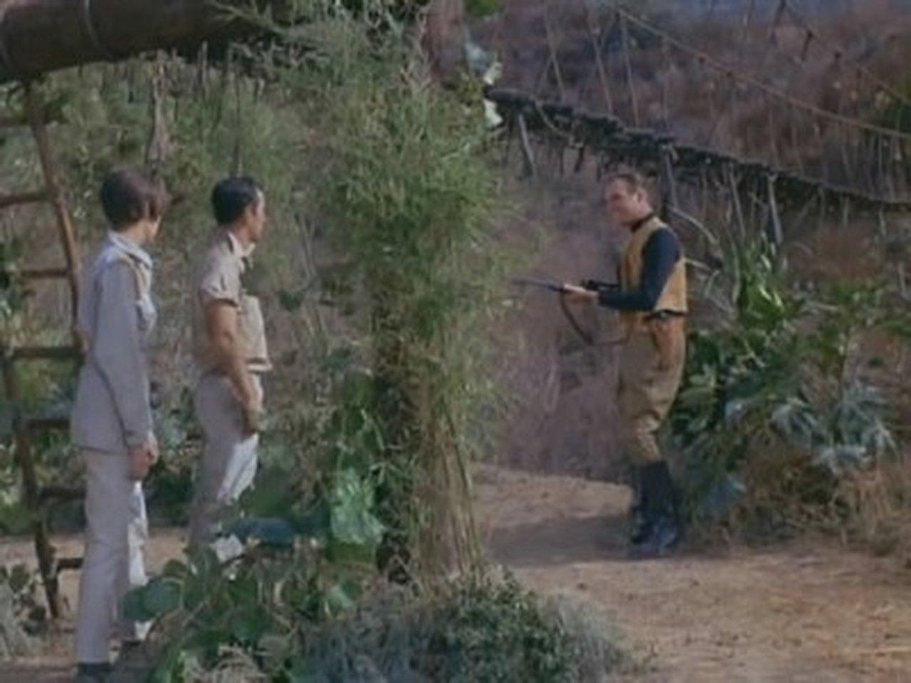 Island of the Darned