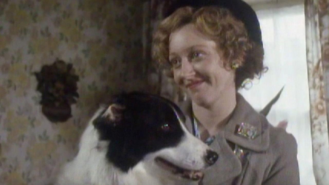 The Salt of the Earth (aka The Good Companions)