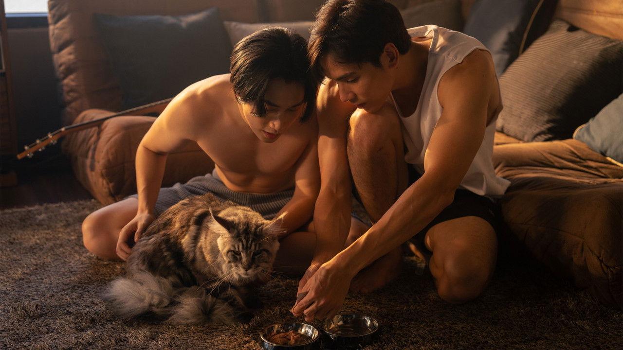 Between Life and Lies