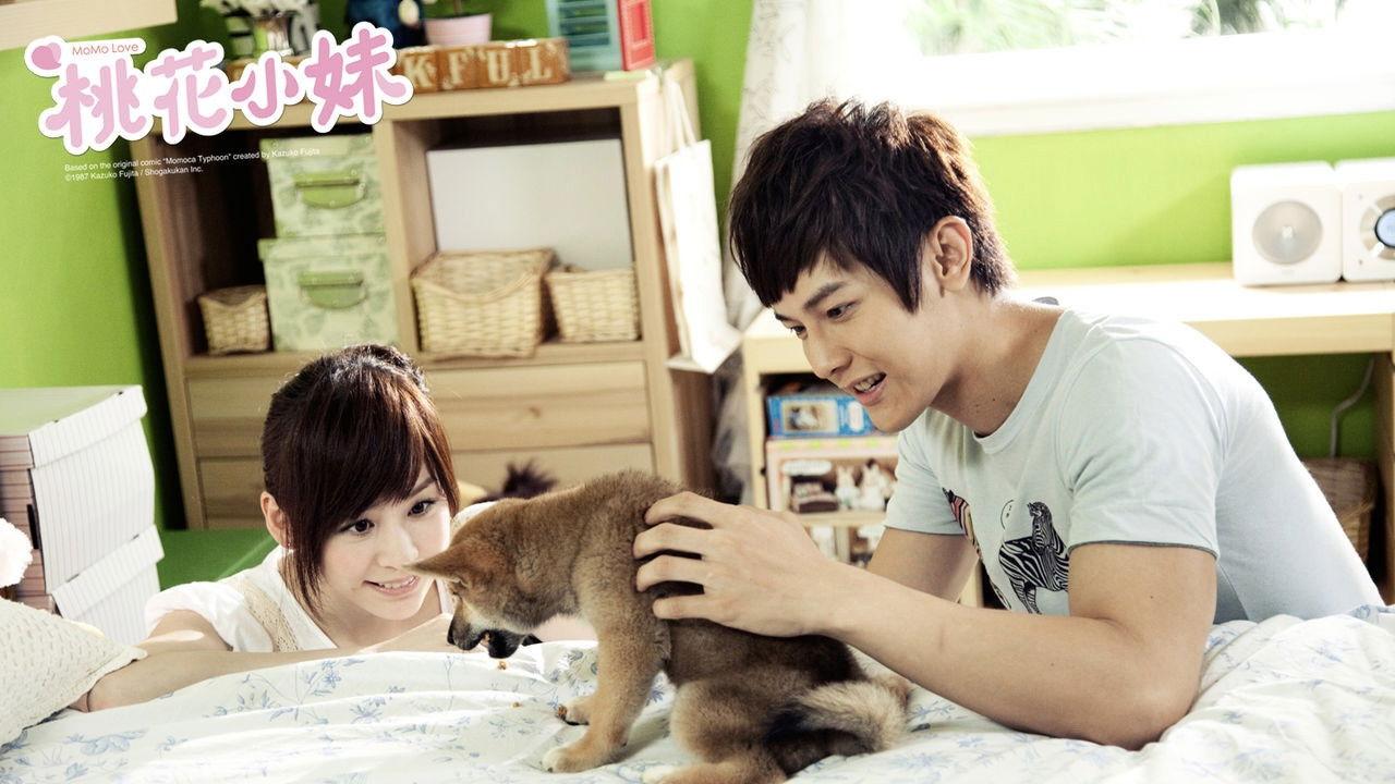 Tao Hua xiao mei backdrop