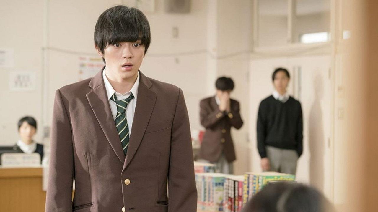 Sakura Blooms backdrop