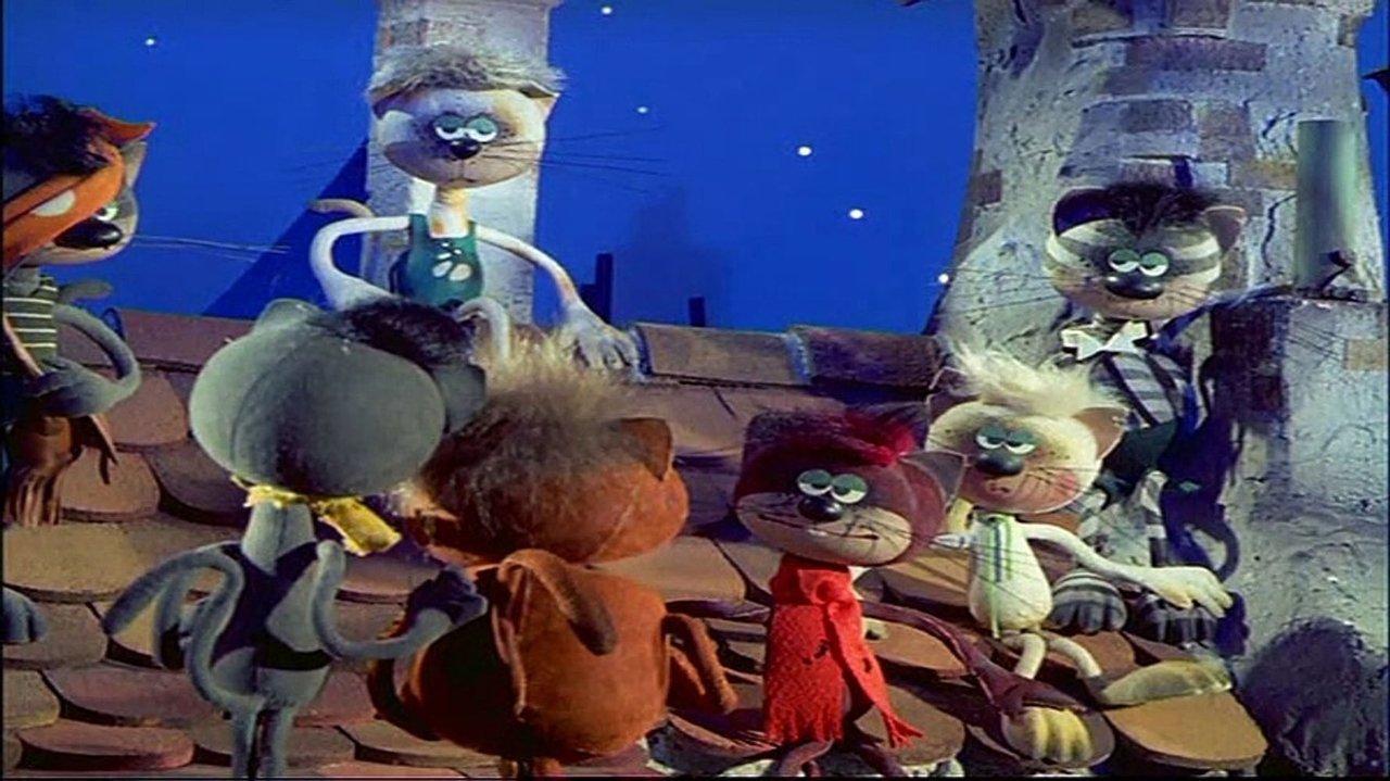 Mirr Murr a kandúr backdrop