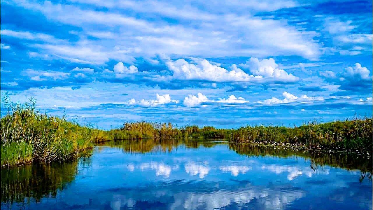 Der Sambesi backdrop