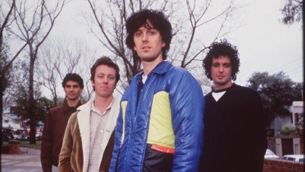 Beginner's Guide to Custard backdrop