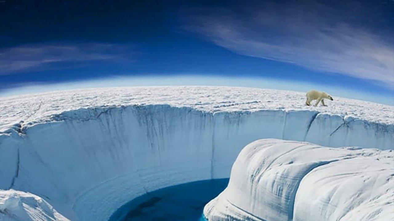 Frozen Planet backdrop