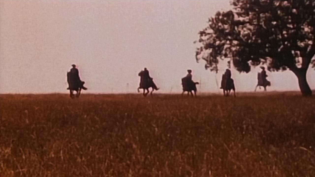 Alentejo Sem Lei backdrop