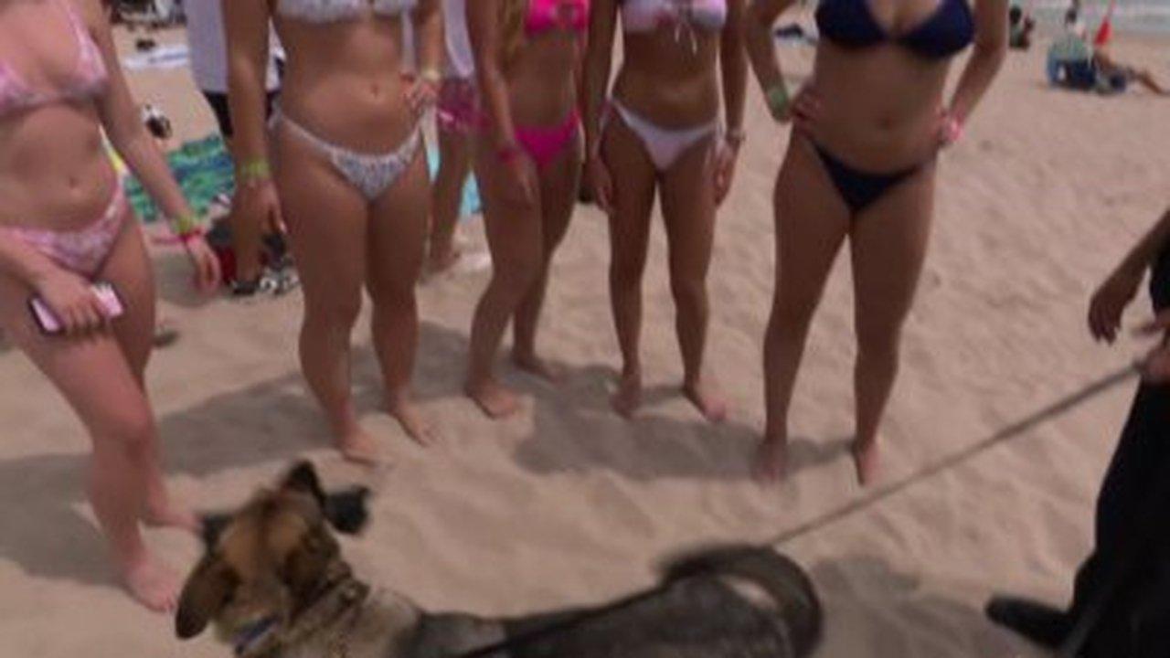 Spring Break: Bombed at the Beach