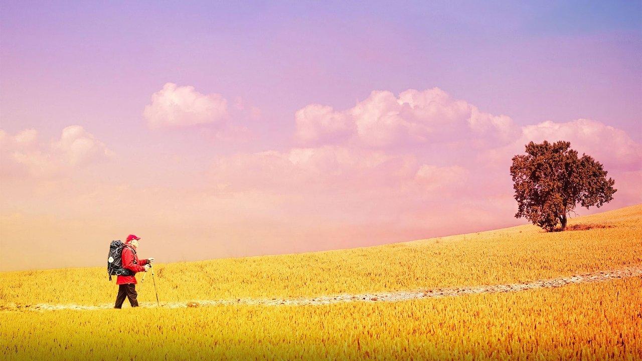 The Way, My Way backdrop