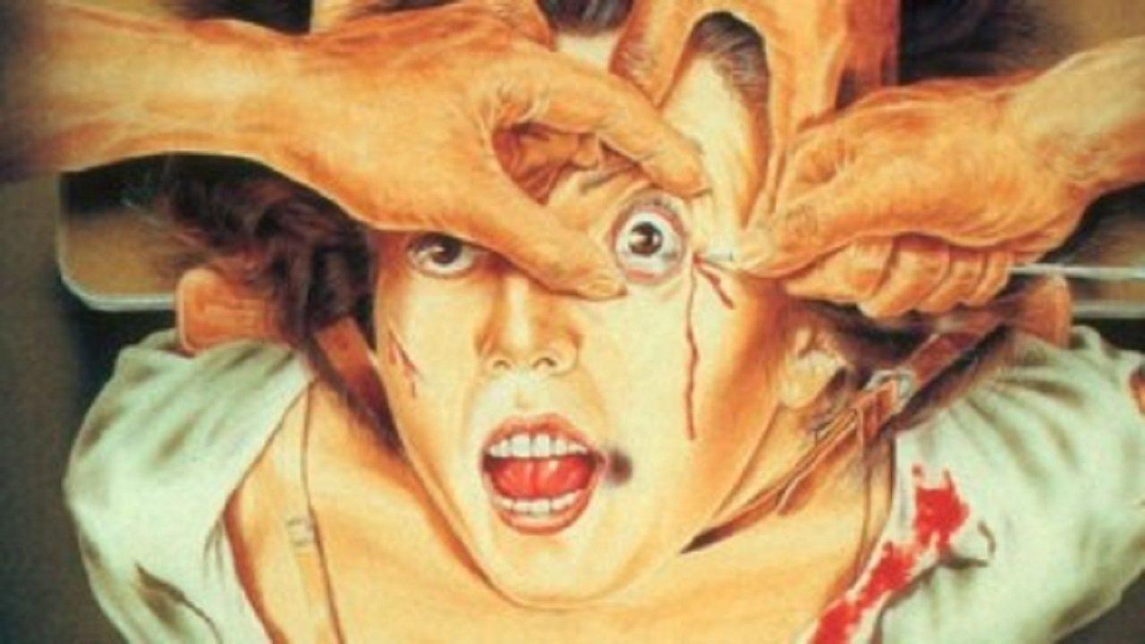 Guinea Pig Collection backdrop