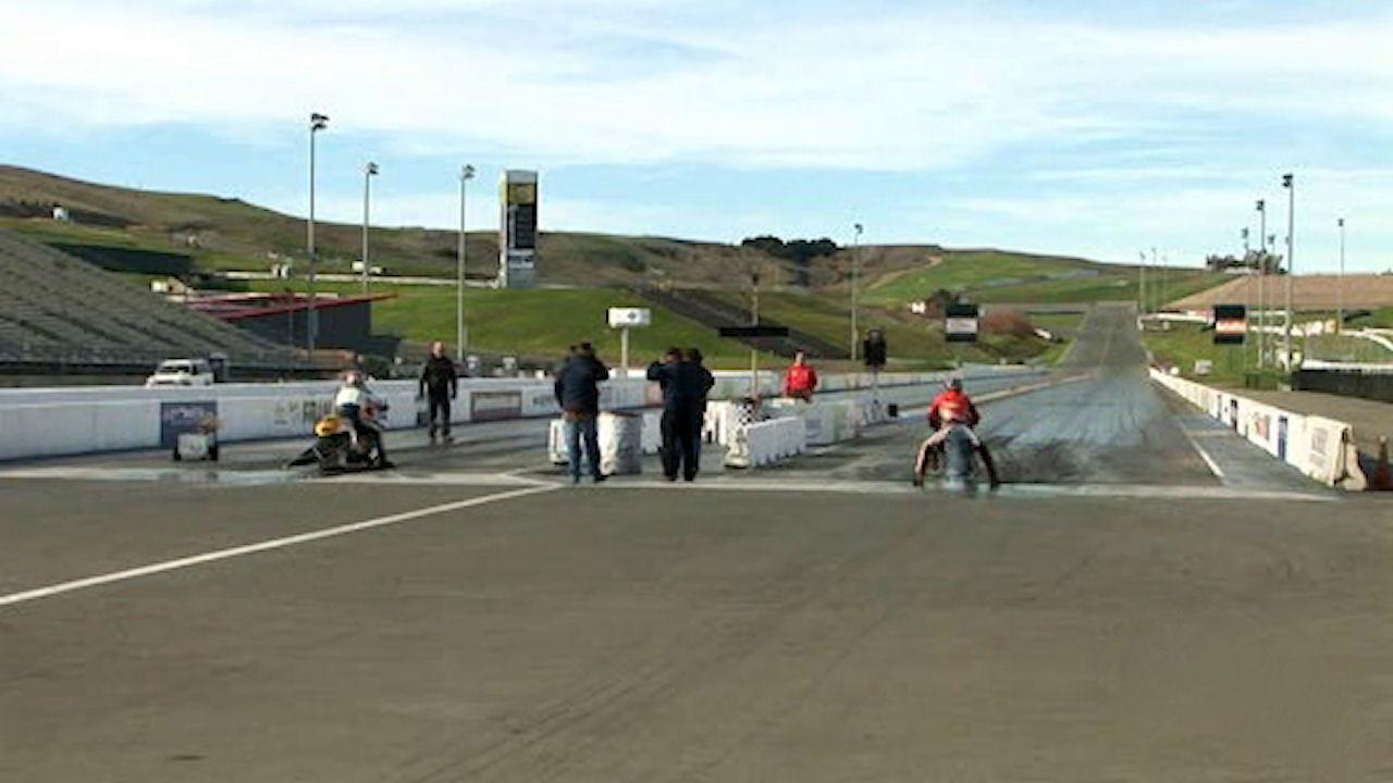 Young Scientist Special