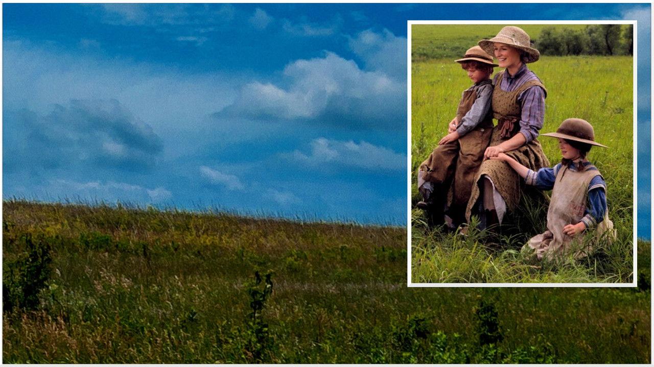 Sarah, Plain and Tall Collection backdrop