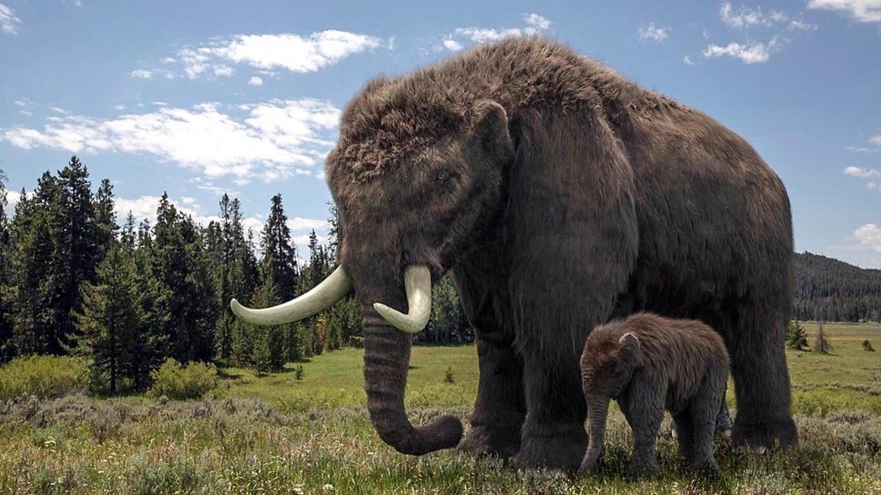 Ice Age Giants backdrop