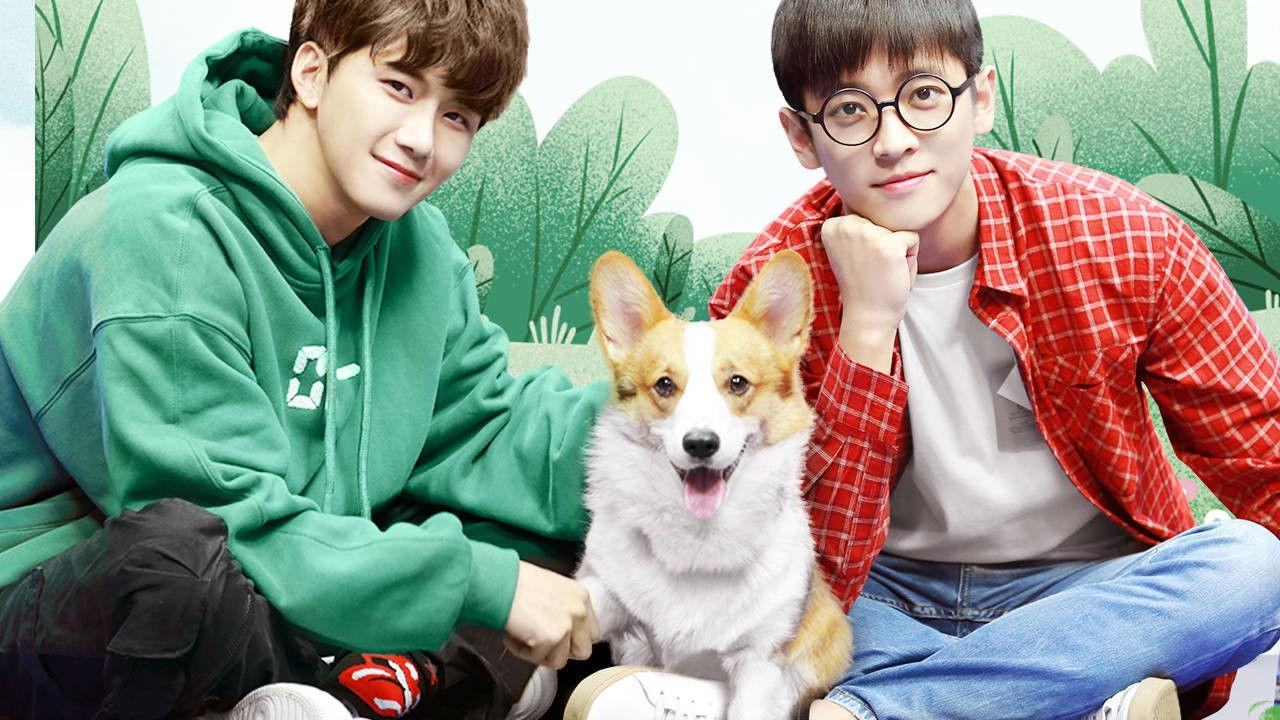 We Are Not Brothers backdrop