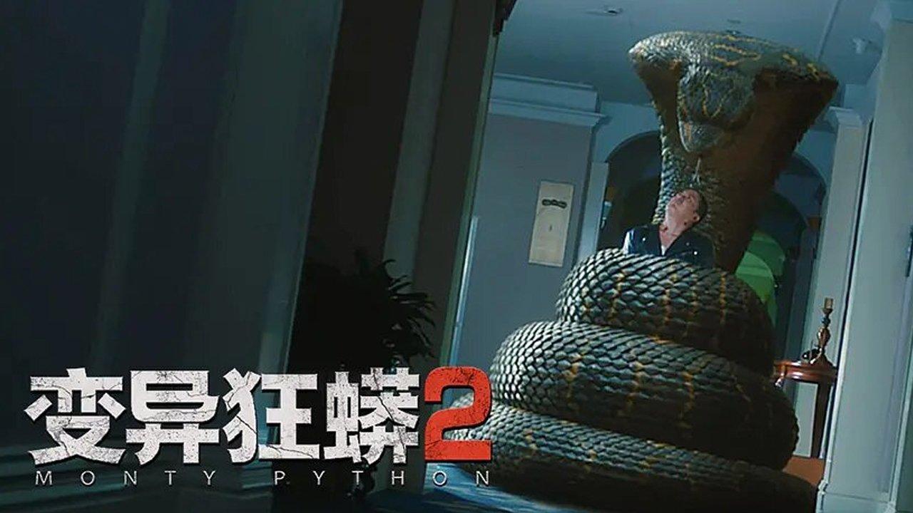 Monty Python 2 backdrop